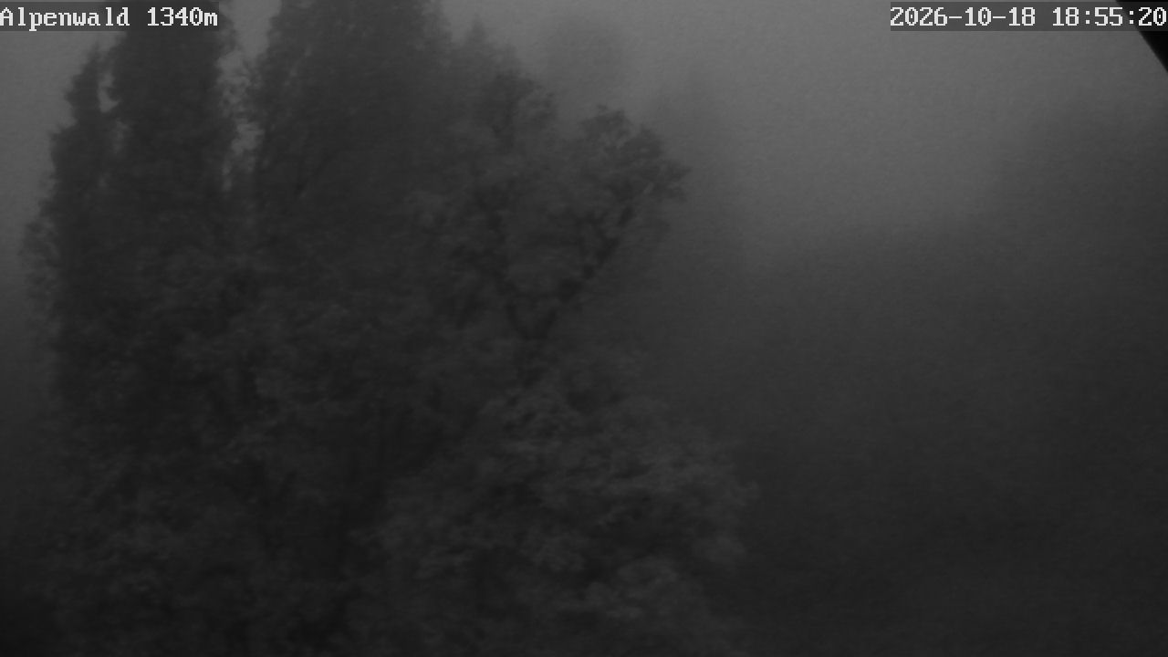 Bild: Gasthof Alpenwald
